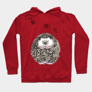 Namaste hedgehog Hoodie